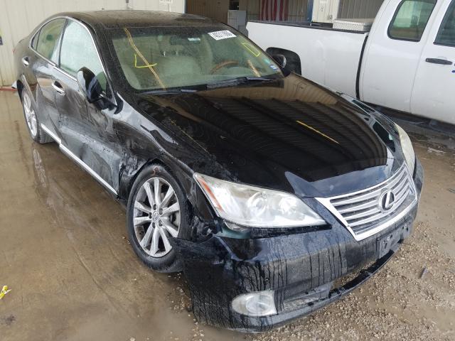 lexus es 350 2010 jthbk1eg7a2379713