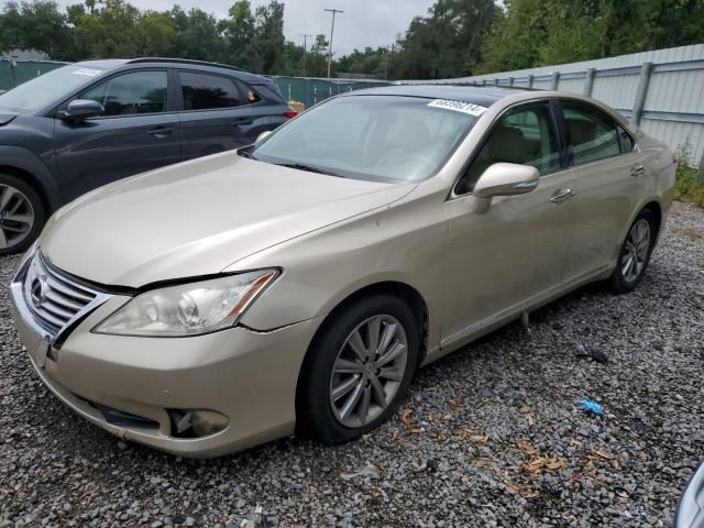 lexus es 350 2010 jthbk1eg7a2382109