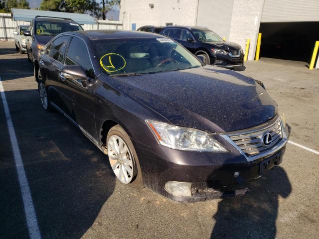 lexus es 350 2010 jthbk1eg7a2414461