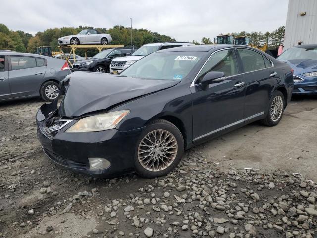 lexus es 350 2012 jthbk1eg7c2493715