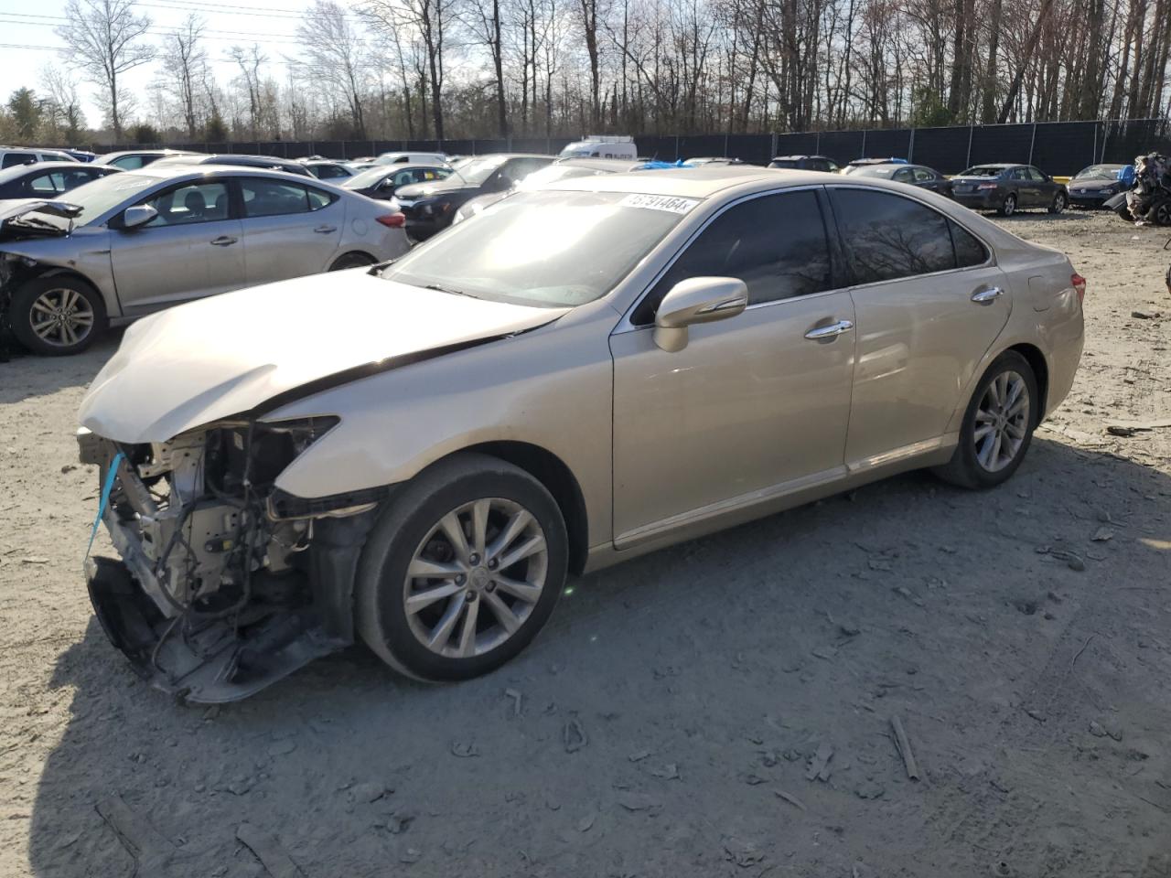 lexus es 2010 jthbk1eg8a2376366