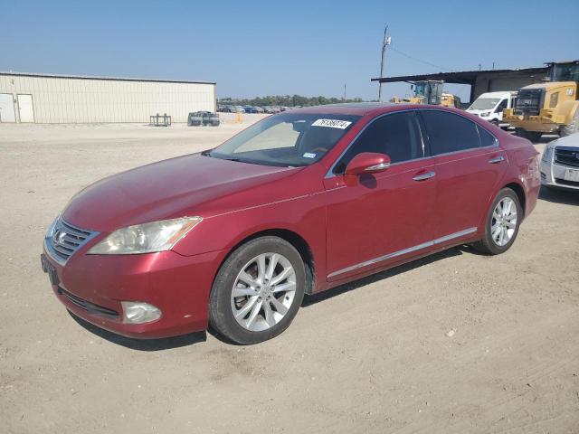 lexus es 350 2010 jthbk1eg9a2354831