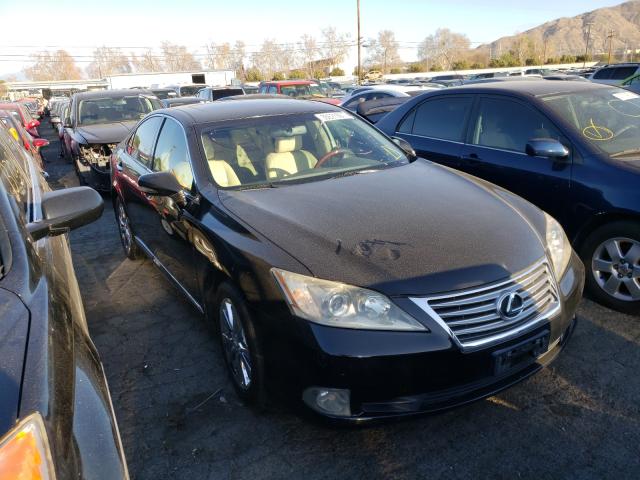 lexus es 350 2010 jthbk1eg9a2359561