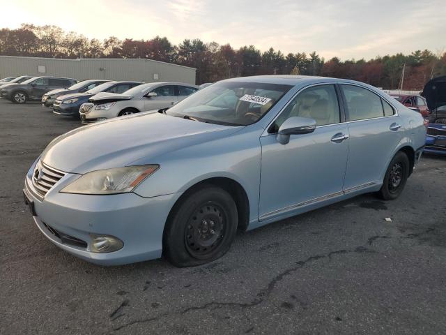 lexus es 350 2010 jthbk1eg9a2362105