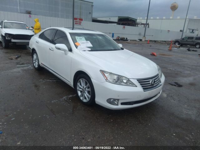 lexus es 350 2010 jthbk1eg9a2414347