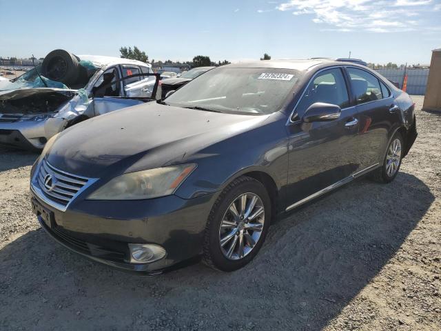 lexus es 350 2010 jthbk1egxa2344194