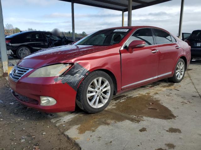 lexus es 350 2010 jthbk1egxa2344356