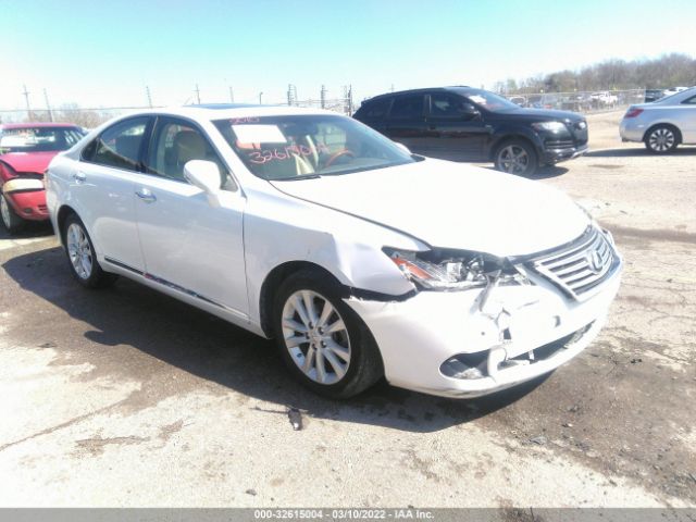 lexus es 350 2010 jthbk1egxa2352800