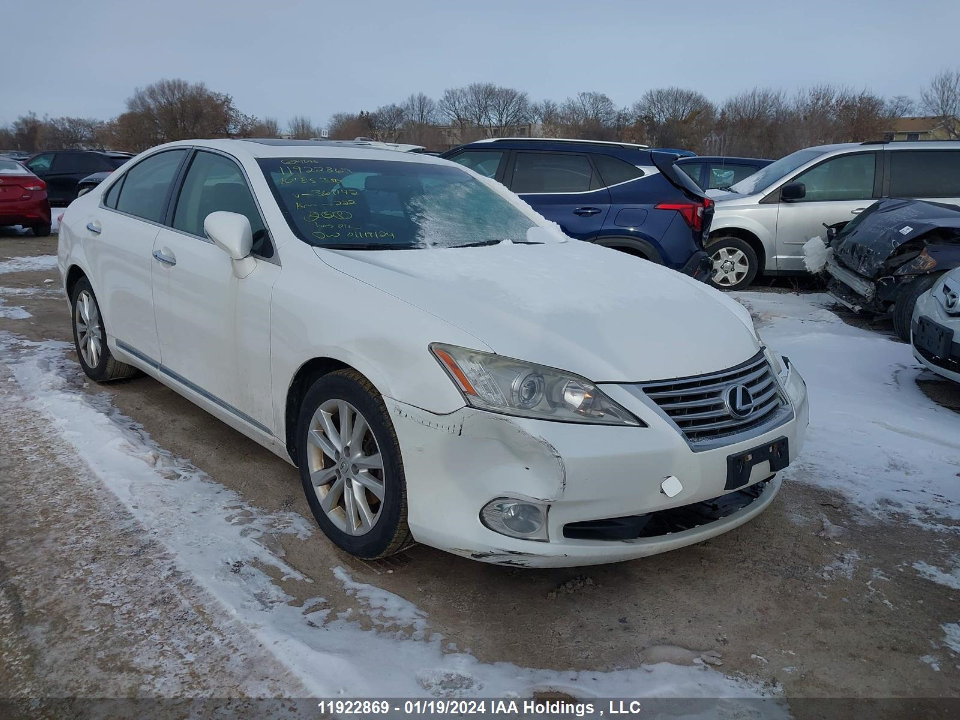 lexus es 2010 jthbk1egxa2361142