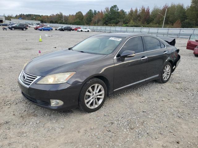 lexus es 350 2010 jthbk1egxa2378460