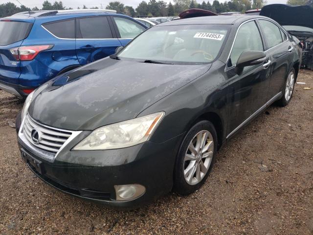 lexus es 350 2010 jthbk1egxa2383268