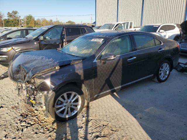 lexus es 350 2010 jthbk1egxa2387434