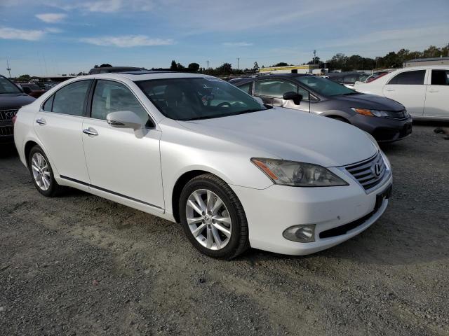 lexus es 350 2010 jthbk1egxa2392438