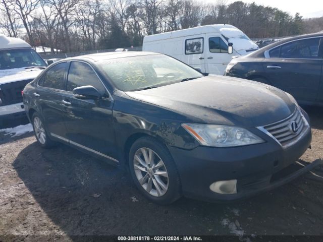 lexus es 350 2011 jthbk1egxb2437508