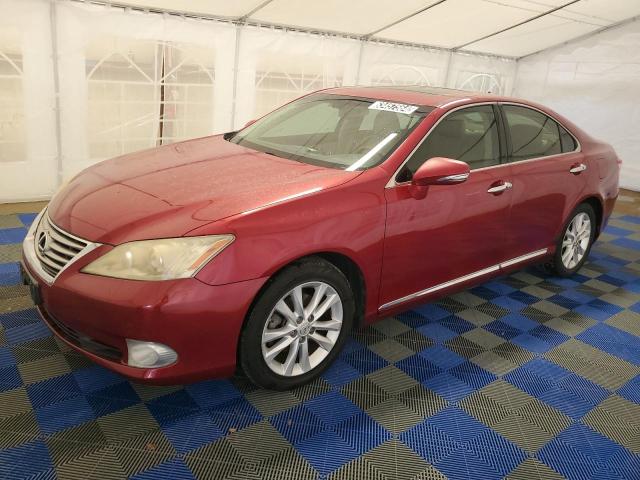 lexus es 350 2011 jthbk1egxb2439825