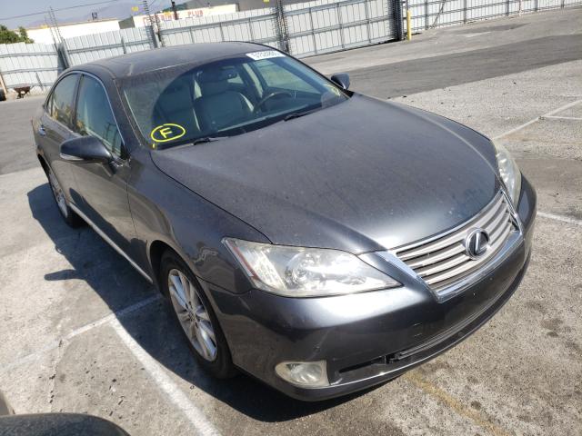 lexus es 350 2011 jthbk1egxb2461789