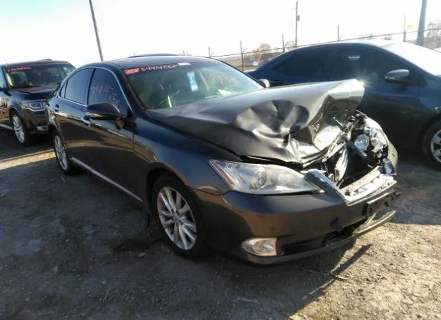 lexus es 350 2011 jthbk1egxb2462795