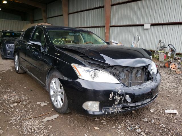 lexus es 350 2011 jthbk1egxb2467320