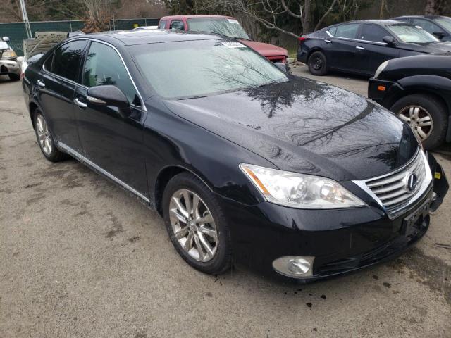 lexus es 350 2011 jthbk1egxb2467835