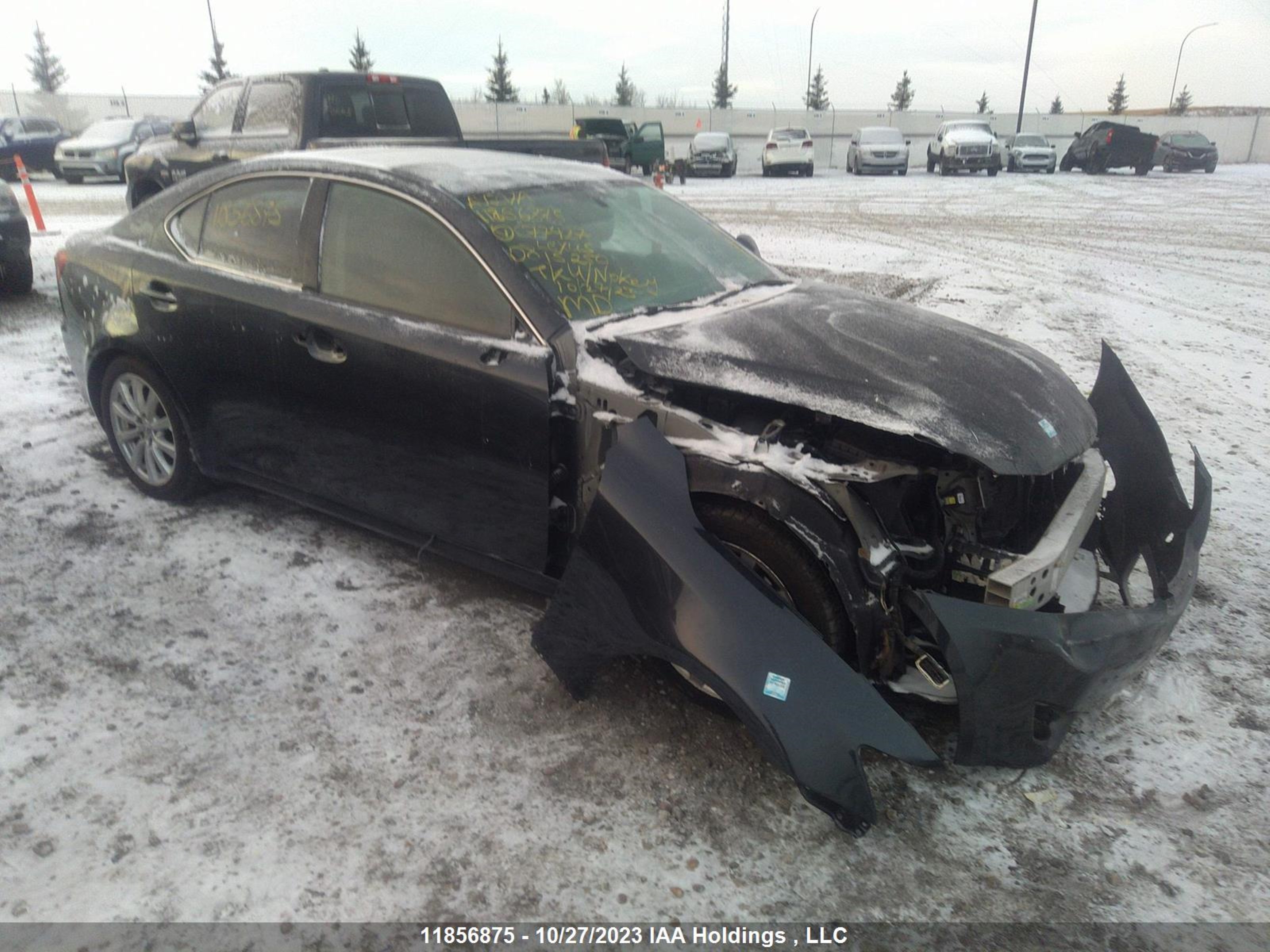 lexus is 2008 jthbk262685077427