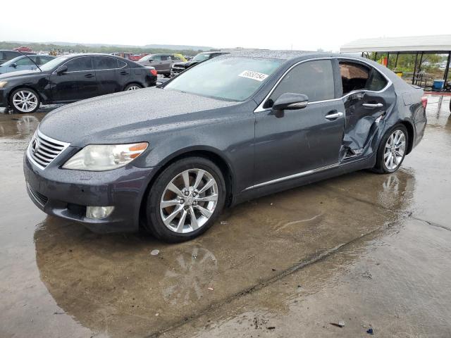 lexus ls 460 2010 jthbl1ef6a5091801