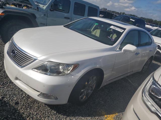 lexus ls 460 2007 jthbl46f375041950