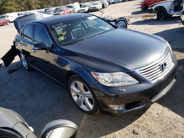 lexus ls 460 2010 jthbl5ef1a5100461