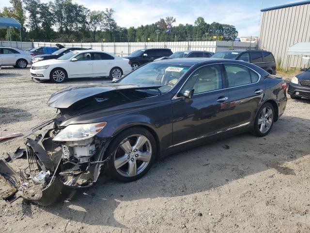 lexus ls 460 2010 jthbl5ef4a5099211