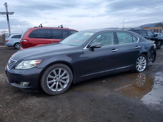 lexus ls 460 2010 jthbl5ef6a5096102