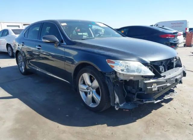 lexus ls 460 2010 jthbl5ef8a5092231