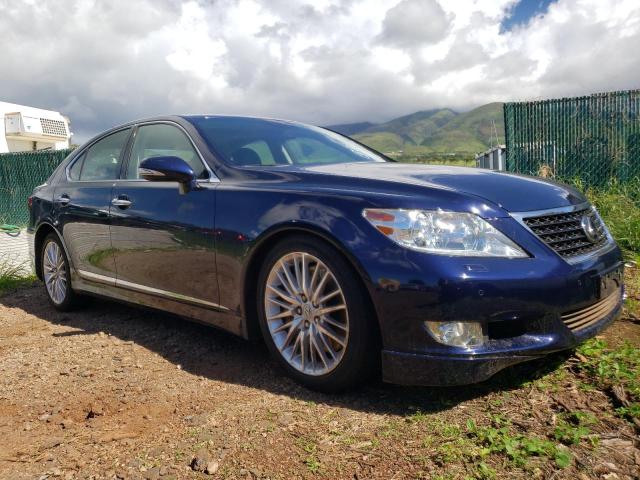 lexus ls 460 2010 jthbl5efxa5096569