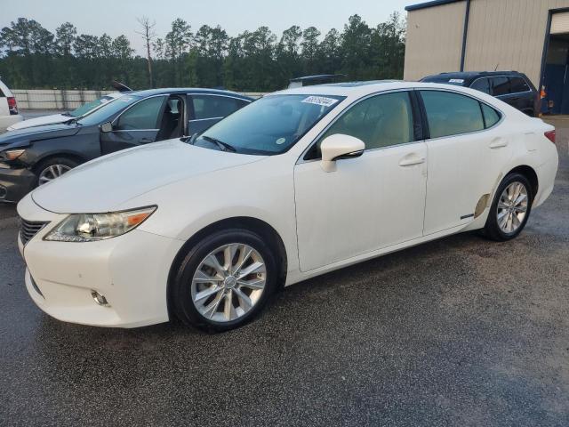 lexus es300 2014 jthbw1gg5e2049544