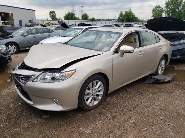 lexus es300 2014 jthbw1gg6e2066546