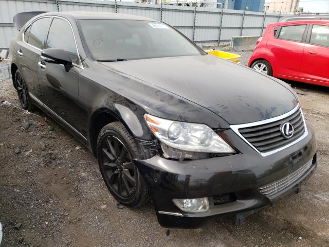 lexus ls 460 2010 jthcl5ef0a5006799