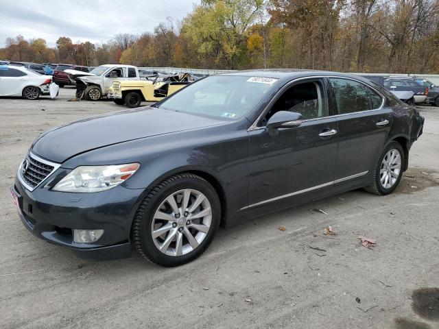 lexus ls 460 2011 jthcl5ef1b5011348