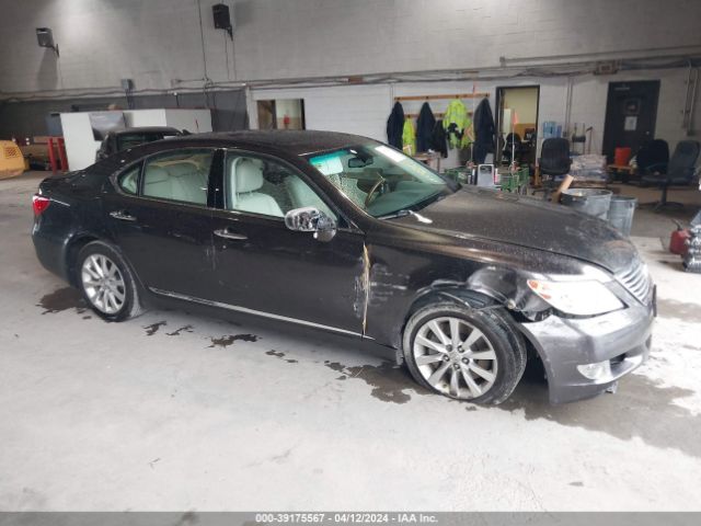 lexus ls 460 2010 jthcl5ef2a5005959