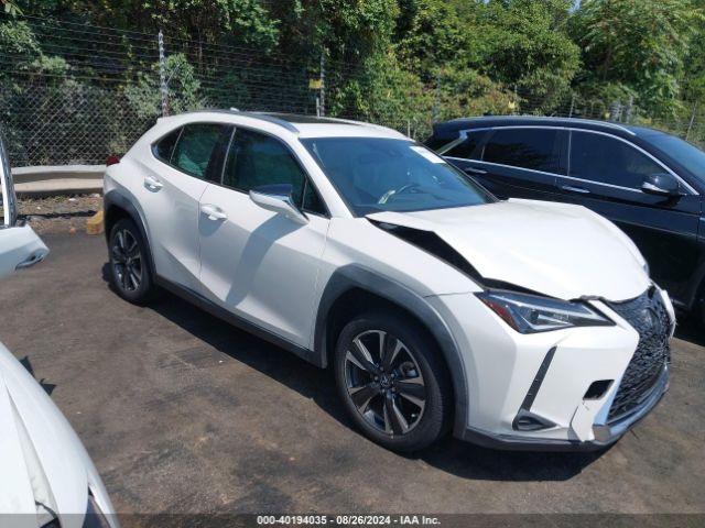 lexus ux 2019 jthy3jbh5k2004294