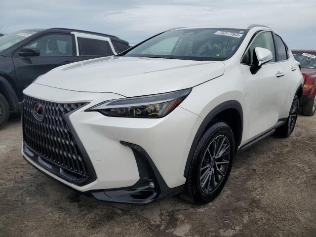 lexus nx 250 2022 jtjadcaz1n5001141