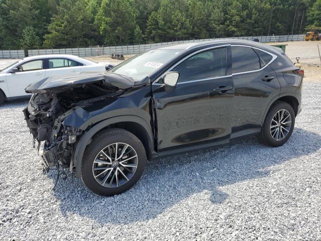 lexus nx 250 2022 jtjadcaz3n5005062