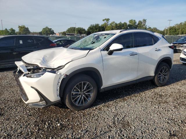 lexus nx 250 bas 2024 jtjadcaz5r2008682