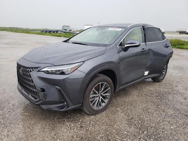 lexus nx 250 2023 jtjadcaz7p5012874