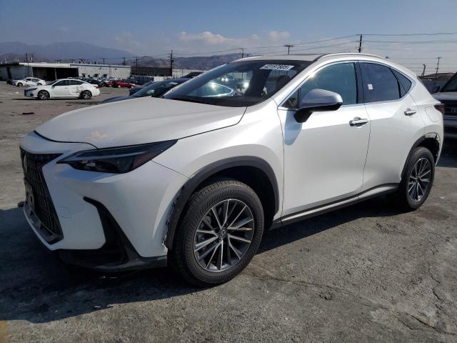 lexus nx 250 bas 2024 jtjadcazxr5016226