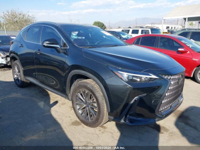 lexus nx 2024 jtjagcez1r5008839