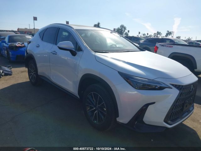 lexus nx 2024 jtjakcez1r2028654