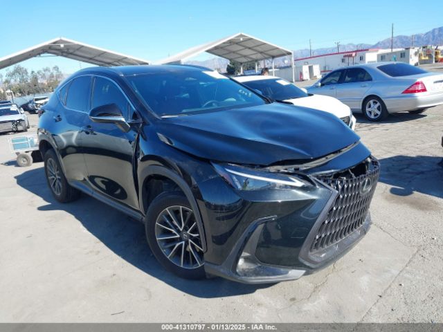 lexus nx 2024 jtjakcez9r5020364