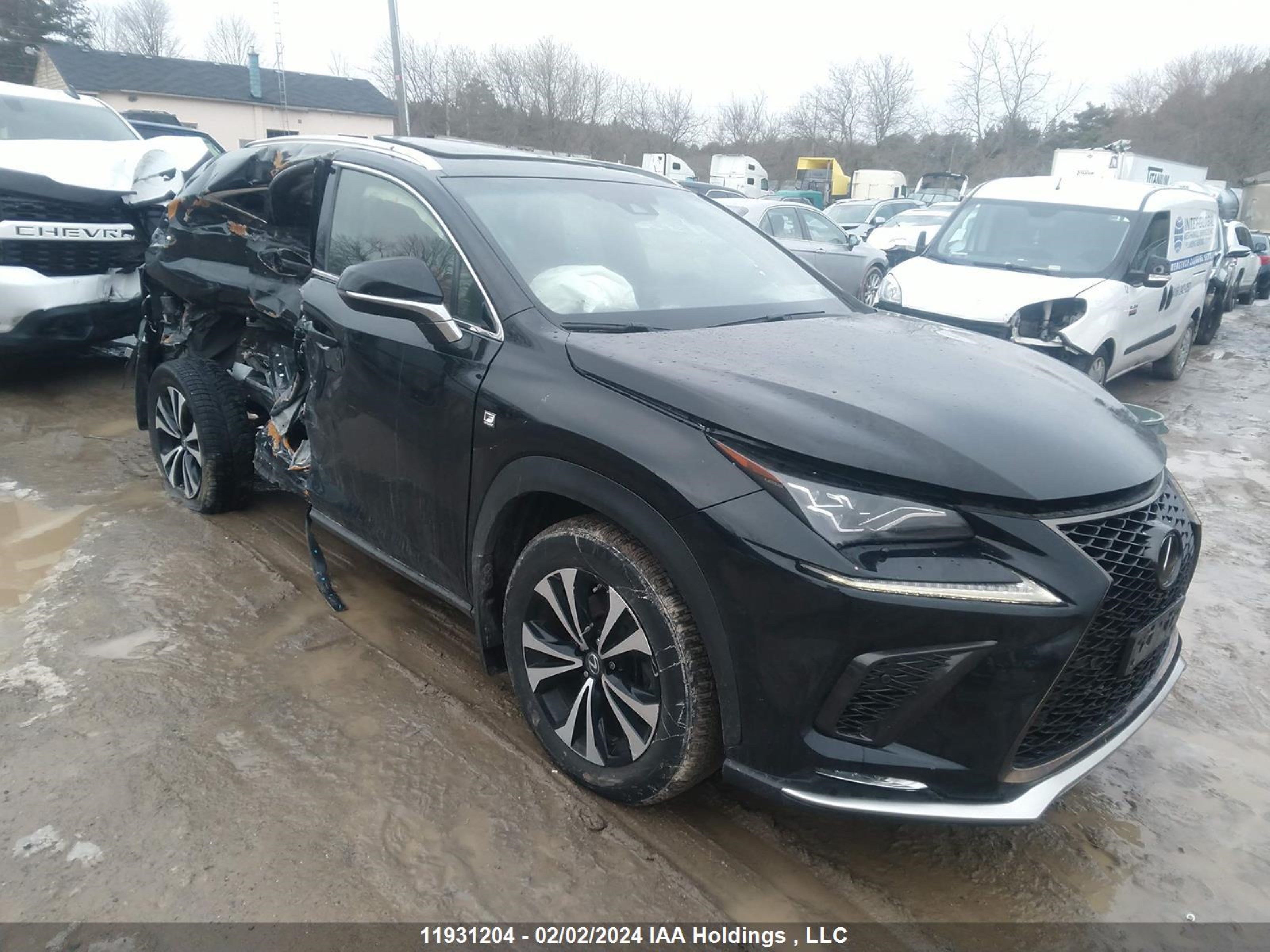 lexus  2019 jtjbarbz0k2196905