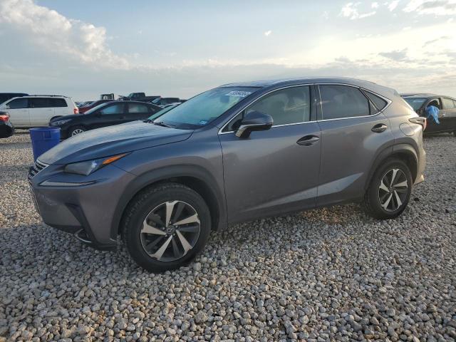 lexus nx 2019 jtjbarbz3k2190032