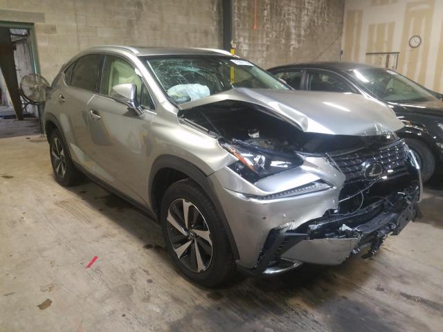 lexus nx 300 bas 2019 jtjbarbz4k2183414