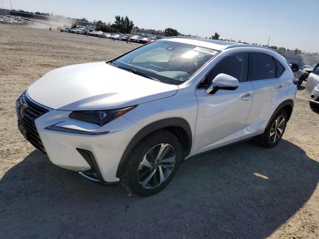 lexus nx 300 bas 2019 jtjbarbz6k2191336