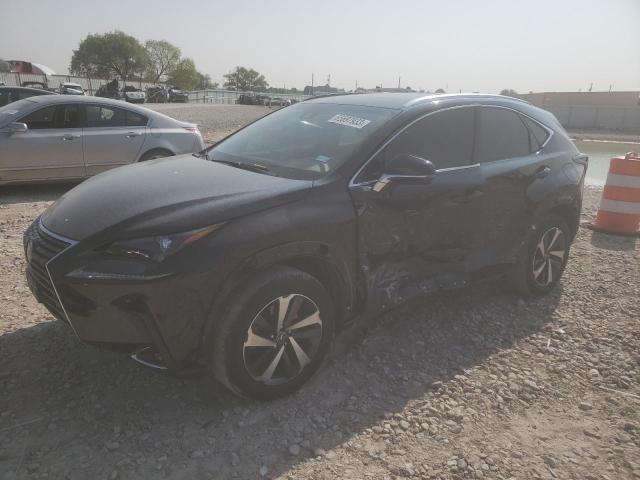 lexus nx 300 2019 jtjbarbz9k2205116